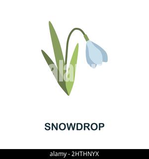 Icône Snowdrop Flat. Panneau d'élément coloré de la collection de fleurs. Affiche d'icône en forme de goutte d'eau plate pour la conception Web, les infographies et bien plus encore. Illustration de Vecteur