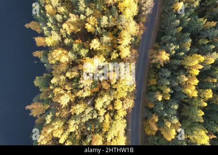 Route dans la forêt d'automne à côté du lac aérien au-dessus de la vue de dessus Banque D'Images