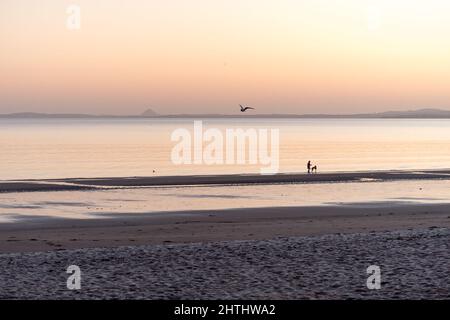 Édimbourg, Écosse, Royaume-Uni, 1st mars 2022. Météo au Royaume-Uni : Edimbourg se réveille un matin ensoleillé. Une personne marchant un chien le long de la plage à Portobello. Crédit: Lorenzo Dalberto/Alay Live News Banque D'Images