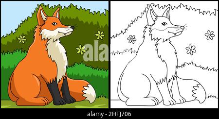 Fox coloriage page Illustration colorée Illustration de Vecteur