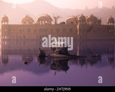 Tôt le matin à Jal mahal. Il se traduit par un palais de l'eau construit par la famille royale de Jaipur en 1699A.D, assis au milieu du lac de maansagar. Banque D'Images