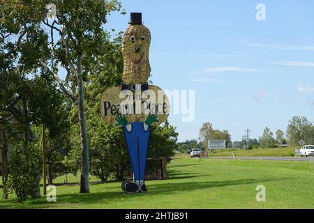 Le Big Peanut, près de Tolga sur les plateaux d'Atherton Banque D'Images