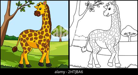 Giraffe coloriage page Illustration colorée Illustration de Vecteur