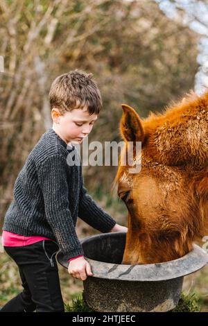 Vue latérale d'un garçon mignon dans des bottes en caoutchouc alimentant le cheval brun depuis le seau se tenant près de la clôture dans l'enceinte Banque D'Images