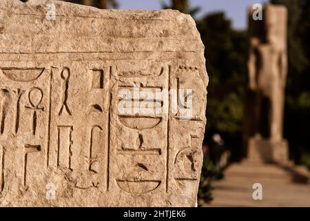 Gros plan d'une ancienne dalle de pierre avec hiéroglyphes égyptiens sculptés, situé en Égypte, avec une ancienne statue sur fond flou le jour de l'été Banque D'Images