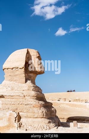 Profil de l'ancienne statue du grand Sphinx situé contre le ciel bleu dans le désert sur le plateau de Giza en Egypte Banque D'Images