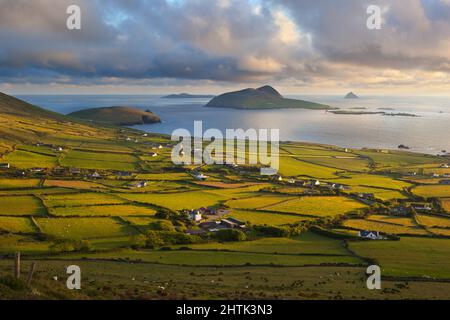 Vue sur Blasket Sound jusqu'aux îles Blasket Slea Head, péninsule de Dingle, comté de Kerry, Irlande Banque D'Images