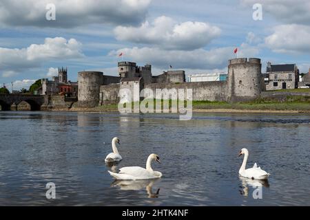 Château du Roi John's sur la rivière Shannon. Château anglo-normand inauguré par le roi John en 1210, ville de Limerick, comté de Limerick, Irlande Banque D'Images