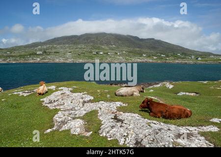 Gurteen Bay, Roundstone, région du Connemara, Comté de Galway, Irlande Banque D'Images