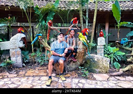 Entouré par des aras à Macaw Mountain, Copan Ruinas, Honduras Banque D'Images