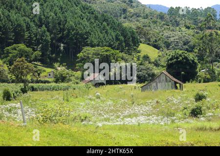 Scénario typique de la zone rurale de l'intérieur de Santa Catarina. Banque D'Images