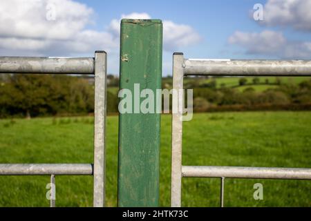 Gros plan sur un poteau de porte vert et une porte double avec la campagne du Devon en arrière-plan Banque D'Images