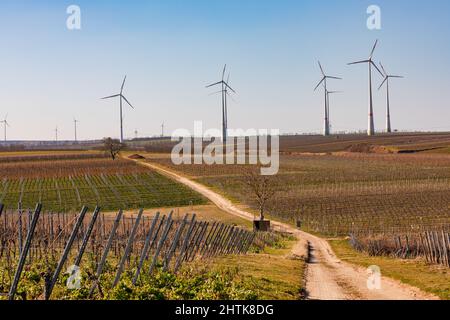 Énergie éolienne avec de nombreuses éoliennes dans le Palatinat Banque D'Images