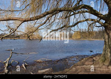 Le paysage de Bushy Park est une mosaïque d’histoire anglaise qui s’étend sur un millénaire : Vous pouvez voir les vestiges des systèmes agricoles médiévaux, l'héritage d'un parc de cerfs Tudor, les jardins aquatiques du 17th siècle et les éléments décoratifs représentant le goût néoclassique, et les traces de camps militaires qui ont joué un rôle remarquable dans les guerres mondiales. Banque D'Images