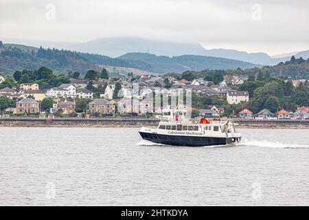 Le ferry calédonien MacBrayne Ali Cat sur la route Dunoon-Gourock dans la Firth de Clyde, Argyll & Bute, Écosse, Royaume-Uni Banque D'Images