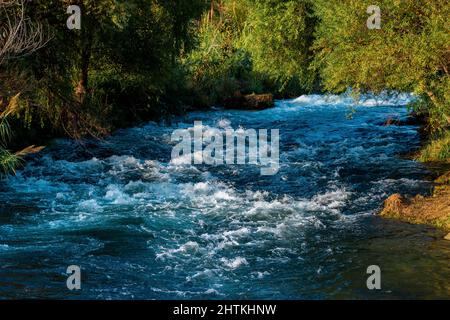 la rivière de montagne rapide coule entre les rives boisées. Banque D'Images