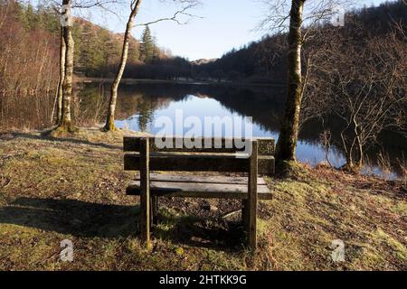 Réflexions dans le Yew Tree Tarn, dans le district des lacs anglais Banque D'Images