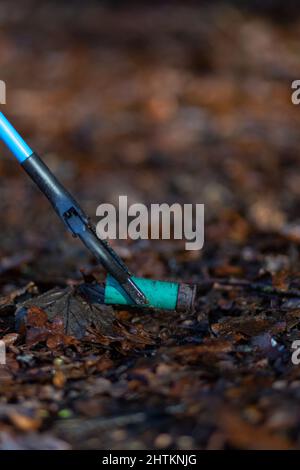 Près d'une cartouche de fusil de chasse mise au rebut, mais d'un picker de litière. Collecte de litière, déchets, concept environnemental Banque D'Images