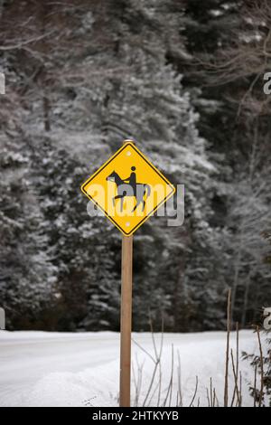 Jaune attention Horse Riding Sign dans un cadre rural en hiver Banque D'Images