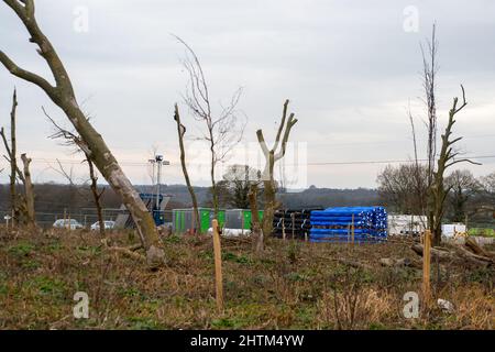 Aylesbury Vale, Buckinghamshire, Royaume-Uni. 28th février 2022. Partie de l'atténuation de HS2. De nouveaux arbres ont été plantés mais beaucoup d'entre eux sont déjà morts. Crédit : Maureen McLean/Alay Banque D'Images