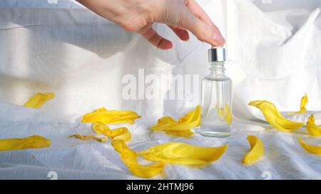 Flacon avec de l'huile essentielle et des pétales doux jaunes isolés sur un fond textile blanc.Trousse cosmétique pour fille à la main entourée de feuilles de tulipe. Banque D'Images