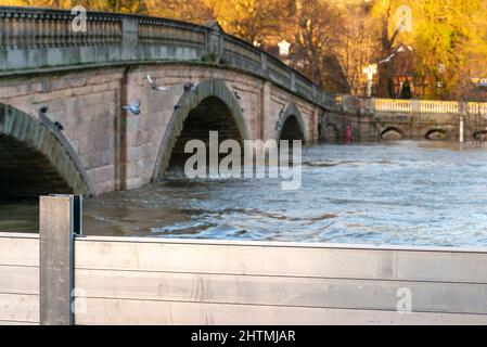 Le pont Bewdley et au-delà, les niveaux d'eau de rivière très élevés, les longues étendues d'écrans de défense en métal et les barrières d'inondation sont érigées des deux côtés de la riv Banque D'Images