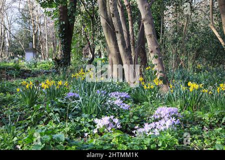 De jolies fleurs printanières poussent au milieu des pierres tombales du Tower Hamlets Cemetery Park, dans l'est de Londres, au Royaume-Uni Banque D'Images