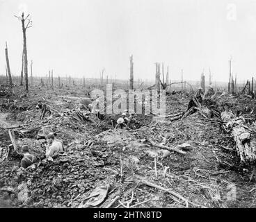 Des soldats creusant une tranchée de communication à travers Delville Wood pendant la bataille de la somme Banque D'Images