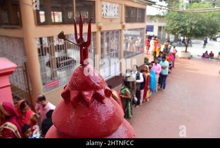 Guwahati, Guwahati, Inde. 1st mars 2022. Les dévotés hindous se présentent pour offrir la prière à l'occasion de Maha Shivratri au temple de Sukleswar à Guwahati Assam Inde le mardi 1st mars 2022 (Credit image: © Dasarath Deka/ZUMA Press Wire) Banque D'Images