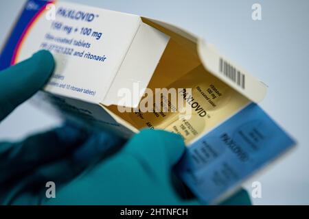 Berlin, Allemagne. 01st mars 2022. Une personne détient le médicament Paxlovid de la société pharmaceutique américaine Pfizer contre Covid-19. Credit: Fabian Sommer/dpa/Alay Live News Banque D'Images