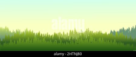 Matin brumeux dans la forêt de conifères. Silhouettes d'arbres. Paysage sauvage et vallonné. Lever du soleil. PIN, cèdre. Paysage est horizontal. Illustration Banque D'Images