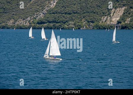 De nombreux petits voiliers naviguent sur le lac Lago di Garda en Italie Banque D'Images