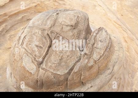 Yehliu Geopark, New Taipei City, Taïwan, ROC Banque D'Images