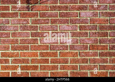 Briques Ibstock posées dans un lien courant pour former le mur d'un garage. Banque D'Images