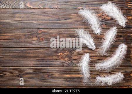 Arrière-plan de plumes d'oiseau colorées sur fond coloré, vue du dessus. Copier l'espace. Banque D'Images