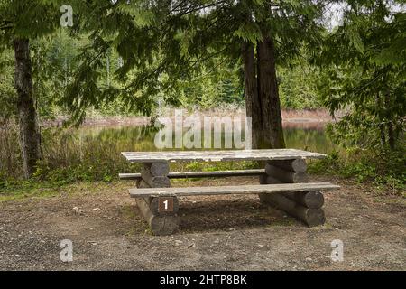 Ancien banc de pique-nique isolé dans un parc isolé de l'île de Vancouver. Banque D'Images