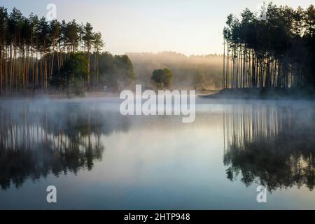 Brume matinale et brouillard lacustre se levant sur des réflexions de pins sur le lagon Krasnobrod de la rivière WIEPRZ en Pologne Banque D'Images