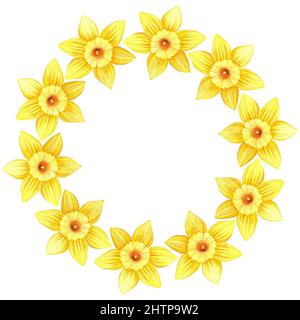 Une couronne de jonquilles. Illustration aquarelle vintage. Isolé sur un fond blanc. Pour votre conception. Convient pour les cartes postales, les invitations de mariage Banque D'Images