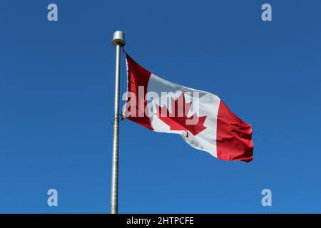 Drapeau canadien ou drapeau du Canada volant dans le vent à l'extérieur dans le soleil d'été contre un ciel bleu clair d'été sans nuages (Î.-P.-É., Canada) Banque D'Images