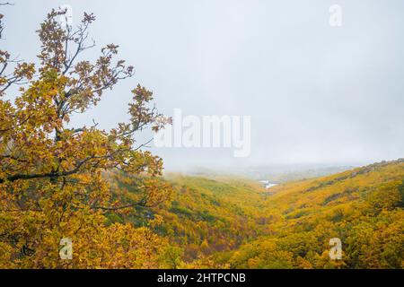 Paysage d'automne.Riofrio de Riaza, province de Segovia, Castilla Leon, Espagne. Banque D'Images