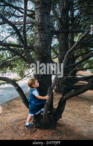 Petite fille marche dans le jardin parmi de belles plantes vertes du sud Banque D'Images