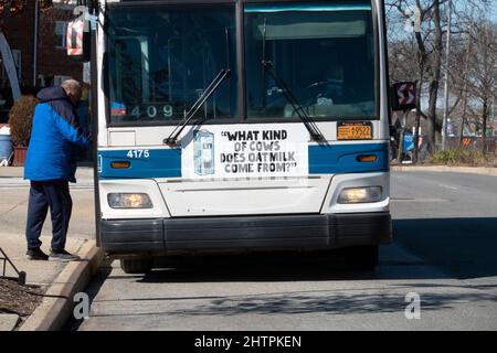 Une petite publicité originale et amusante sur le lait d'avoine Oatly à l'avant d'un bus de la ville de New York dans le Queens New York. Banque D'Images