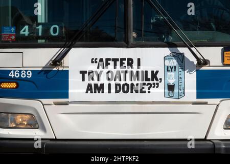 Une petite publicité originale et amusante sur le lait d'avoine Oatly à l'avant d'un bus de la ville de New York dans le Queens New York. Banque D'Images