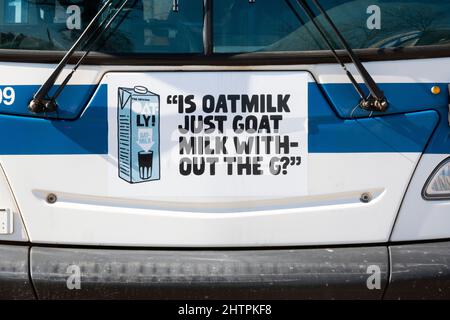 Une petite publicité originale et amusante sur le lait d'avoine Oatly à l'avant d'un bus de la ville de New York dans le Queens New York. Banque D'Images