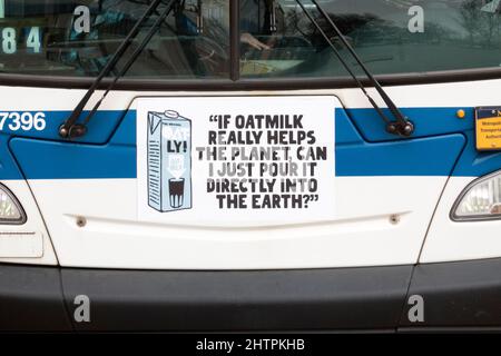 Une petite publicité originale et amusante sur le lait d'avoine Oatly à l'avant d'un bus de la ville de New York dans le Queens New York. Banque D'Images