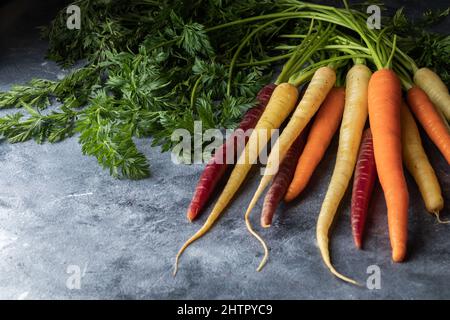 Gros plan de carottes arc-en-ciel fraîches avec tiges fixées Banque D'Images