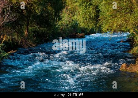 la rivière de montagne rapide coule entre les rives boisées. Banque D'Images