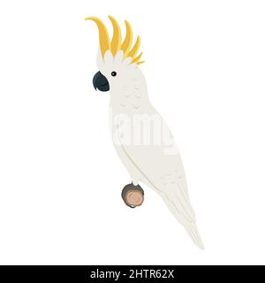 Perroquet de Cockatoo assis sur une branche. Illustration vectorielle d'un perroquet cocatoo exotique assis sur une branche isolée sur un fond blanc. Vue latérale, p Illustration de Vecteur