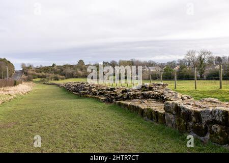 Heddon sur le mur, Angleterre: 8th Fév 2022: Mur d'Hadrien (pas de gens) dans le nord-est de l'Angleterre, par une belle journée d'hiver Banque D'Images