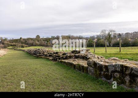 Heddon sur le mur, Angleterre: 8th Fév 2022: Mur d'Hadrien (pas de gens) dans le nord-est de l'Angleterre, par une belle journée d'hiver Banque D'Images